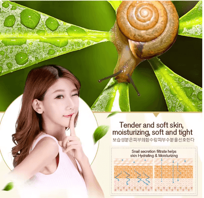 Snail Collagen Cream & Dark Eye Circles Remover Serum